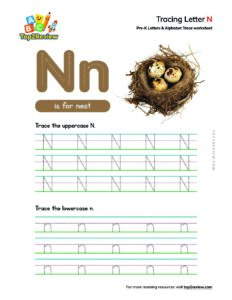 Top2Review.com-TLN012-tracing-letters-n